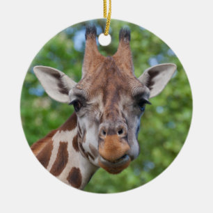 Curios Giraffe Ceramic Tree Decoration