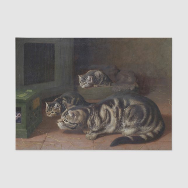 Curiosity by Horatio Henry Couldery Tissue Paper (Front)