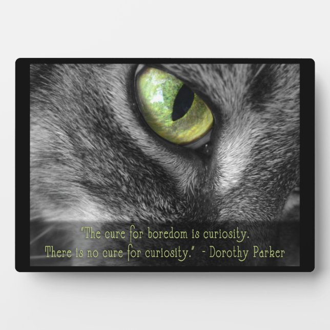 Curiosity Cat  with Parker quote plaque (Front)