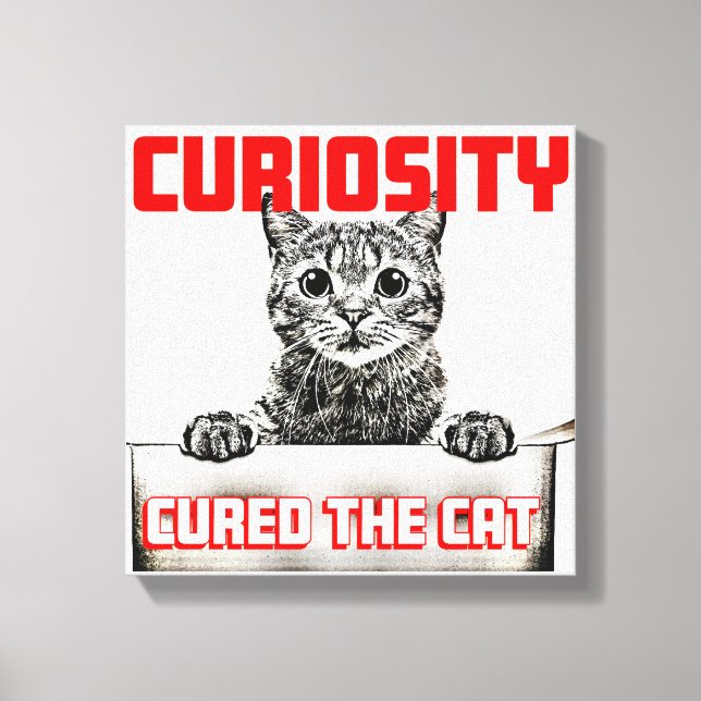 Curiosity Cured the Cat Canvas Print (Front)