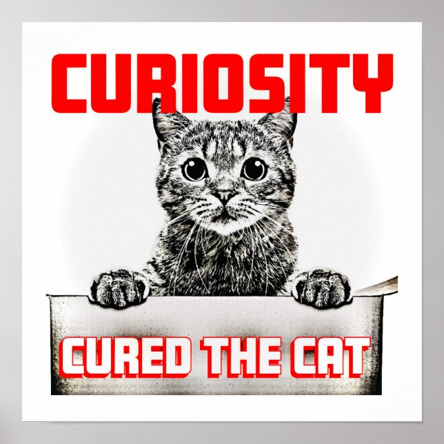 Curiosity Cured the Cat Poster (Front)