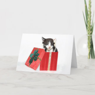 Curiosity got the Christmas kitten Holiday Card