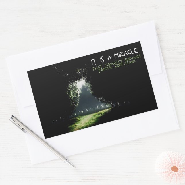 "Curiosity" Inspirational Quote Rectangular Sticker (Envelope)