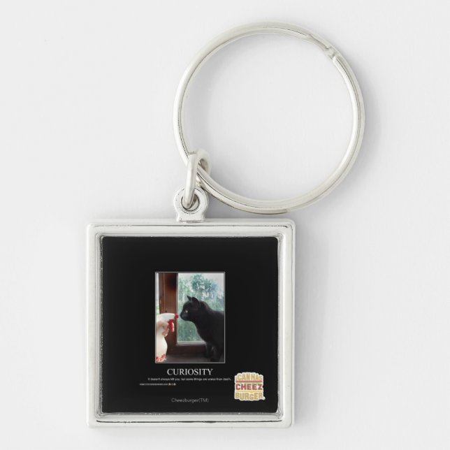 Curiosity Key Ring (Front)