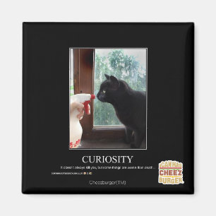 Curiosity Magnet