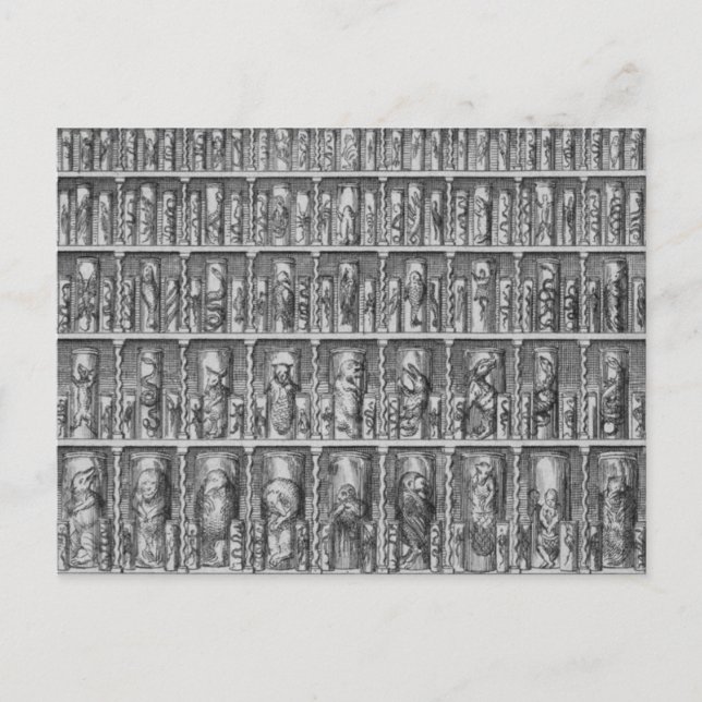 Curiosity Postcard (Front)