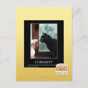 Curiosity Postcard