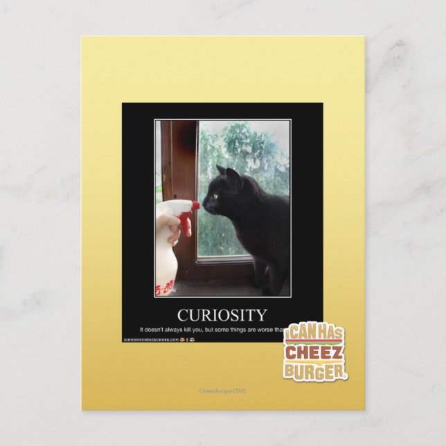 Curiosity Postcard (Front)