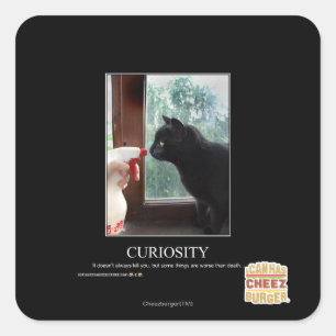 Curiosity Square Sticker