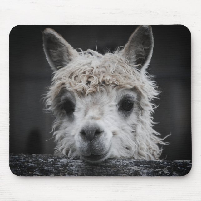 Curious Alpaca Mouse Pad (Front)
