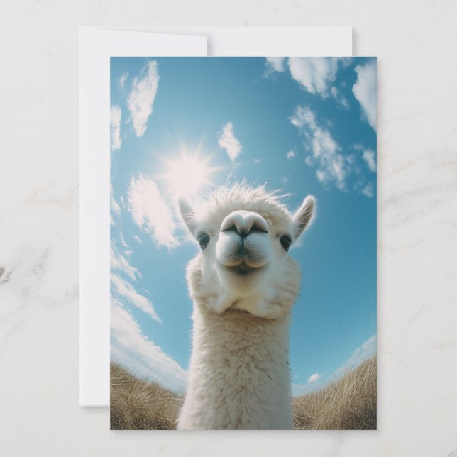 Curious Alpaca Under the Sun Invitation (Front)