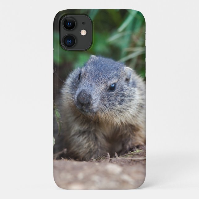 Curious Baby Marmot iPhone 11 Case (Back)