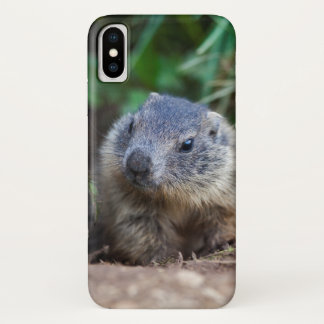 Curious Baby Marmot iPhone X Case