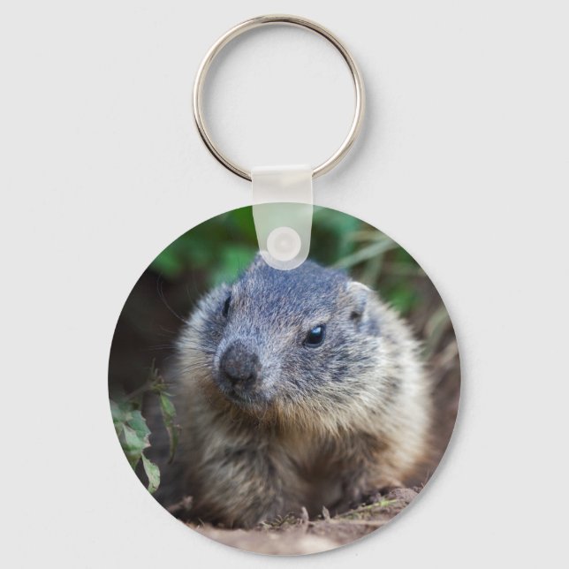 Curious Baby Marmot Keyring (Front)