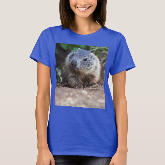 Curious Baby Marmot Tee (Front)