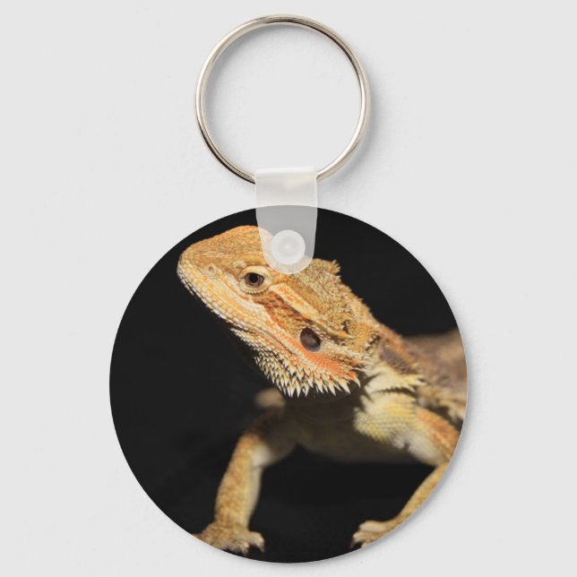 Curious Bearded Dragon 3 Key Ring (Front)