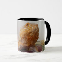 Curious Bearded Dragon Photo Design Funny