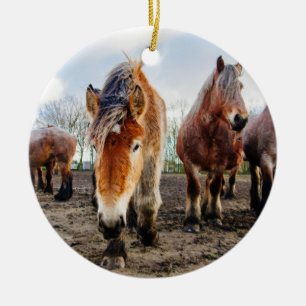Curious Belgian Draught Horses From Below Ceramic Tree Decoration