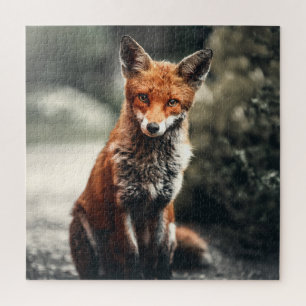 Curious Big Red and White Fox Sitting in Nature Jigsaw Puzzle