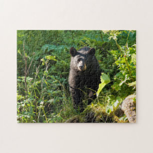 Curious Black Bear Jigsaw Puzzle