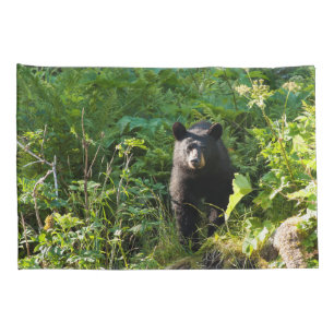 Curious Black Bear Pillowcase