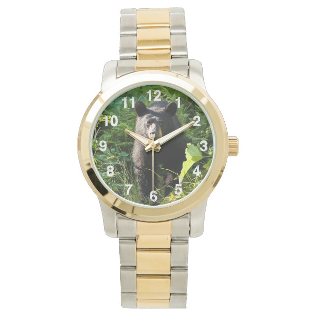 Curious Black Bear Watch (Front)