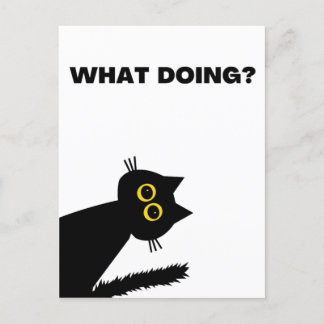 Curious Black Cat postcard