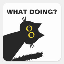 Curious Black Cat sticker