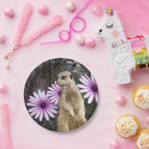 Curious Bloom: Meerkat Among Purple Daisies Paper Plate