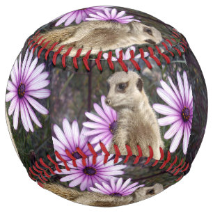 Curious Bloom: Meerkat Among Purple Daisies Softball