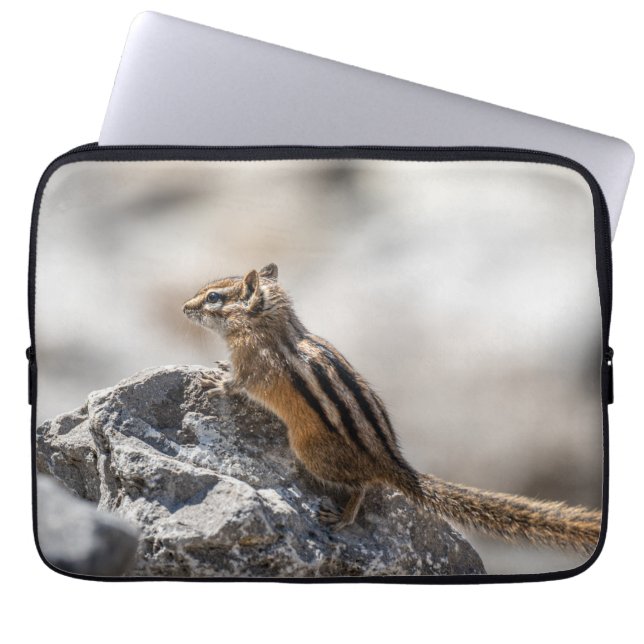 Curious Brown Chipmunk in Alberta Laptop Sleeve (Front)