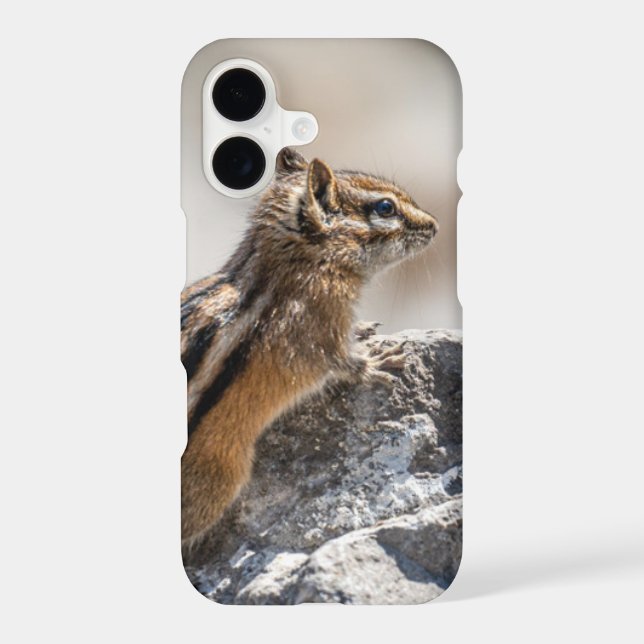 Curious Brown Chipmunk in Nature (Back)