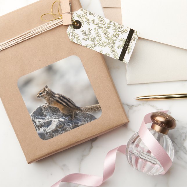 Curious Brown Chipmunk on Rock Square Sticker (Gifting)