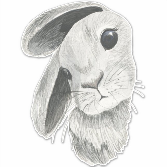 Curious Bunny Rabbit Baby Room Decor (Front)