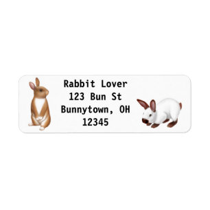 Curious Bunny Rabbit Label