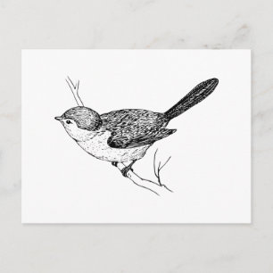 Curious Bushtit Bird Sketch Postcard