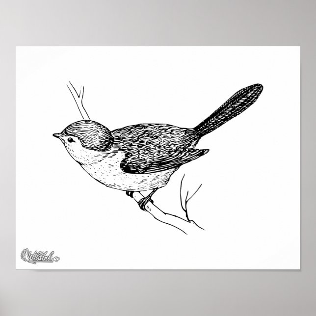 Curious Bushtit Bird Sketch Poster (Front)