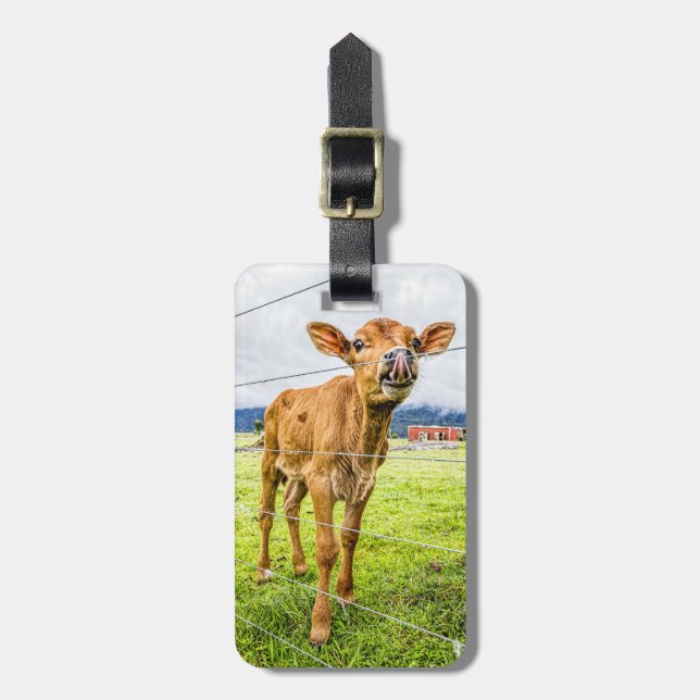 Curious Calf Luggage Tag (Front Vertical)