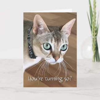 Curious Cat 50th Birthday Card