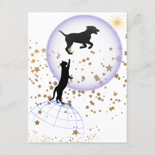 Curious cat and running dog postcard