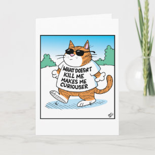 Curious Cat Card