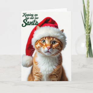 Curious Cat Christmas Card