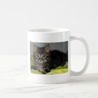  Cat  Coffee  Mugs Zazzle co  uk