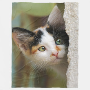 Curious Cat Kitten Looking with Prying Eyes - Fleece Blanket