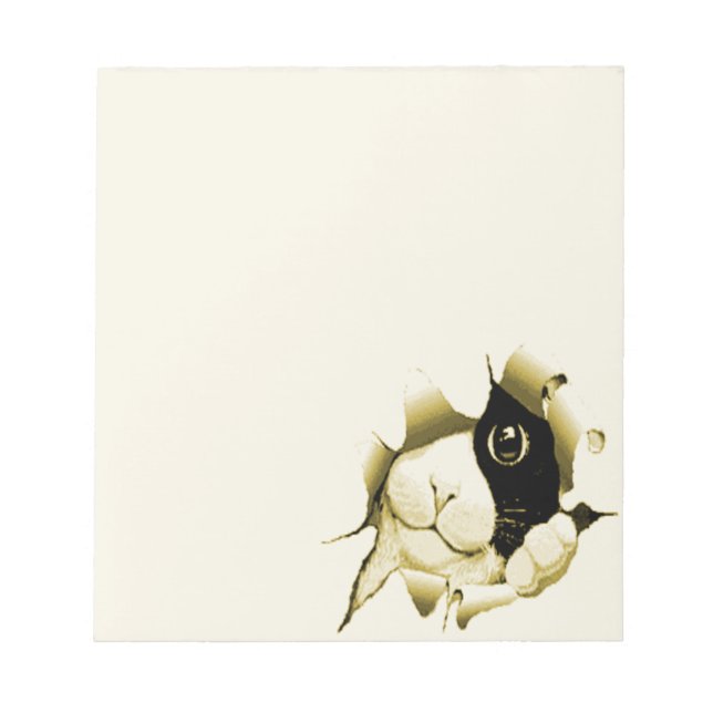 Curious Cat Notepad (Front)