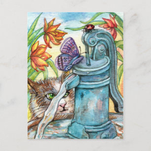 Curious Cat Postcard