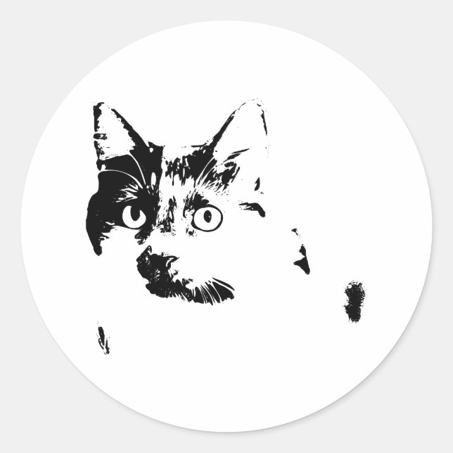 Curious Cat Vinyl Sticker (Front)
