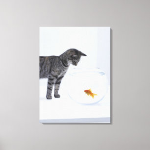 Curious cat watching goldfish in fishbowl canvas print