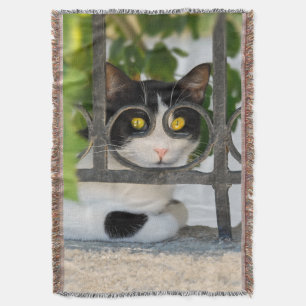 Curious Cat with Spectacles Frame Funny - soft Throw Blanket