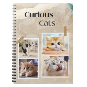 Curious Cats Collage Notebook